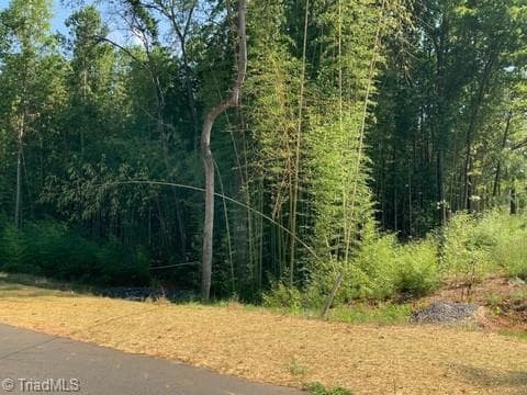 7548 Whisper Hollow Lane, Lewisville NC 27023