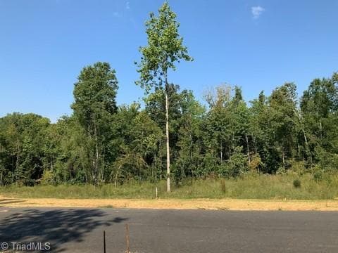 7614 Whisper Hollow Lane, Lewisville NC 27023