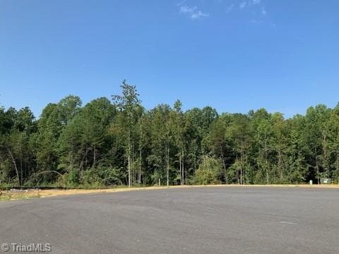 7620 Whisper Hollow Lane, Lewisville NC 27023