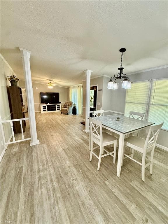 Manufactured Home at 1038 Blackburn Hollow Road, Purlear NC 28665, Purlear, photo 17 of 31
