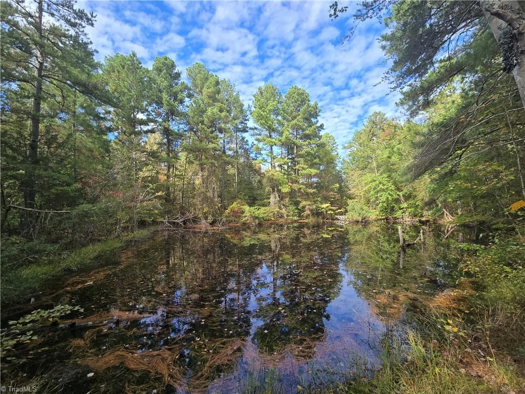 0 Bass Mountain Road, Snow Camp NC 27349