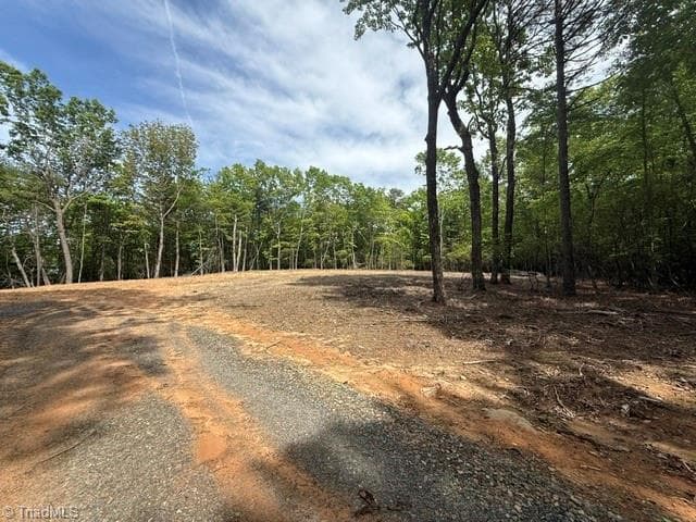 00 Chestnut Mountain Farms Parkway, McGrady NC 28649