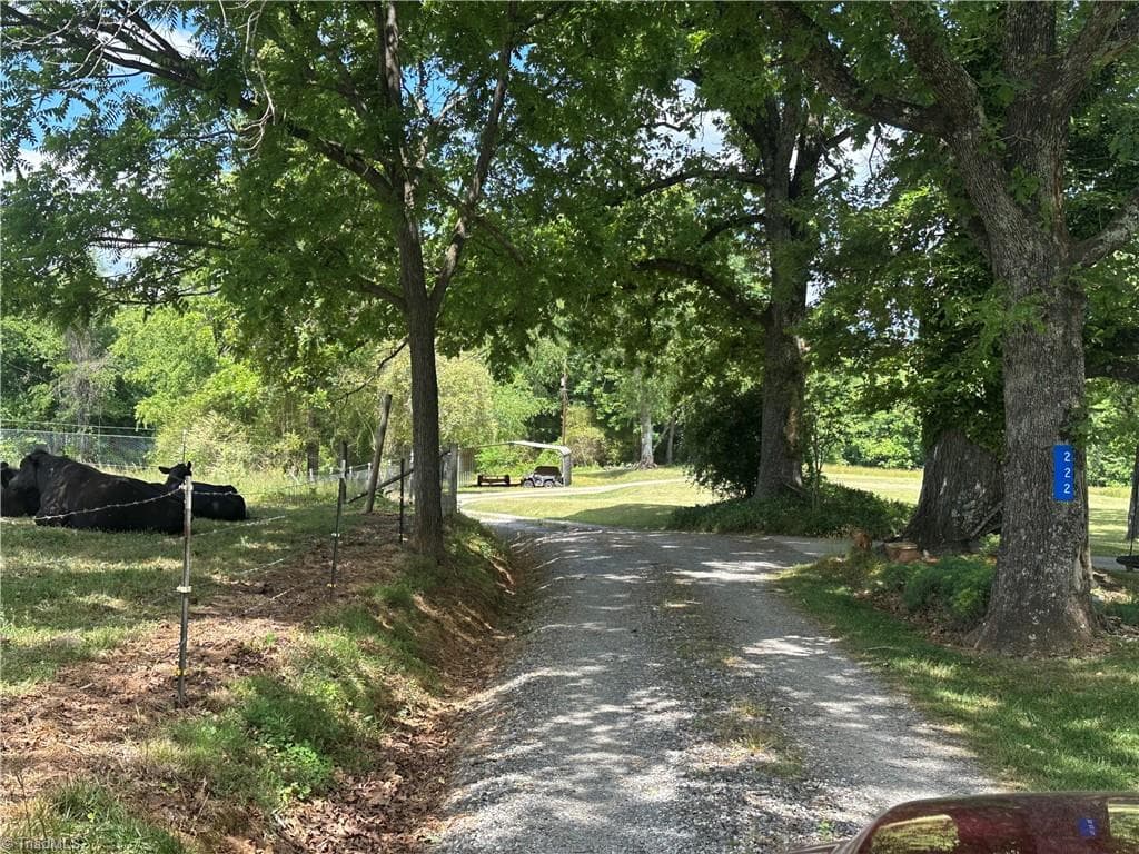 Unimproved Land at 248 Wiley Reynolds Road, Millers Creek NC 28651, photo 6 of 27