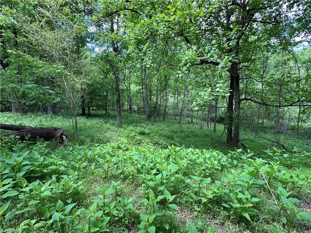 Unimproved Land at 248 Wiley Reynolds Road, Millers Creek NC 28651, photo 16 of 27