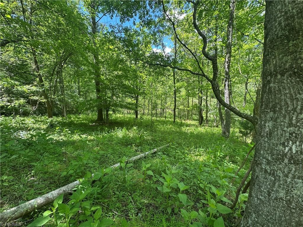 Unimproved Land at 248 Wiley Reynolds Road, Millers Creek NC 28651, photo 22 of 27