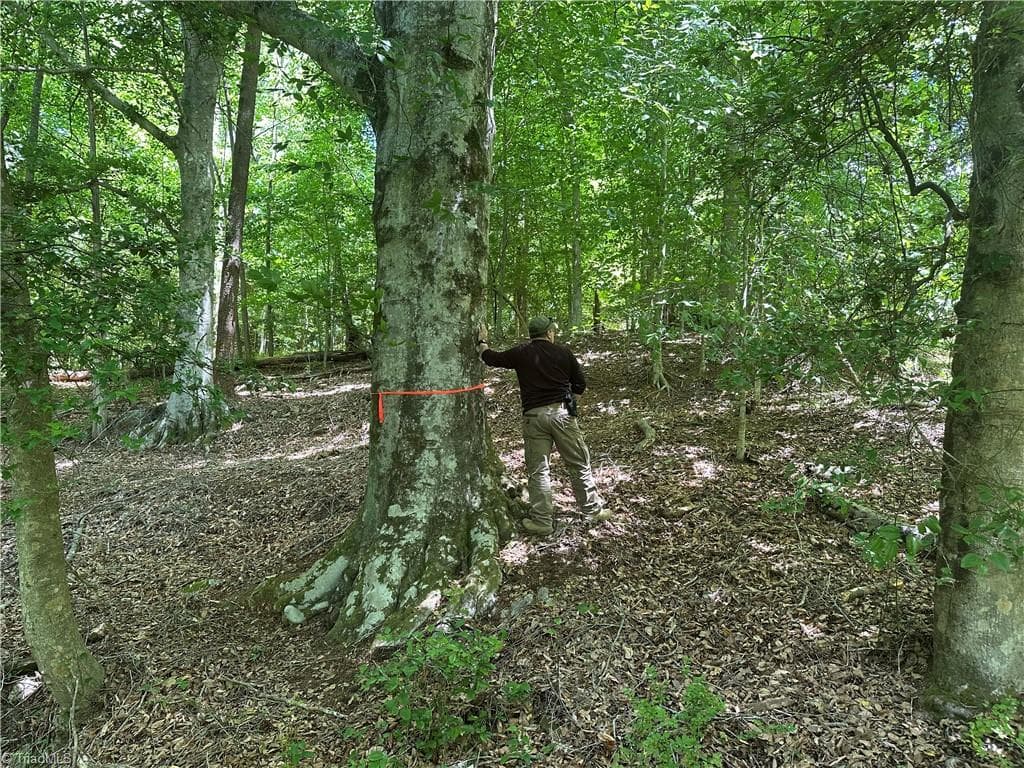 Unimproved Land at 248 Wiley Reynolds Road, Millers Creek NC 28651, photo 20 of 27