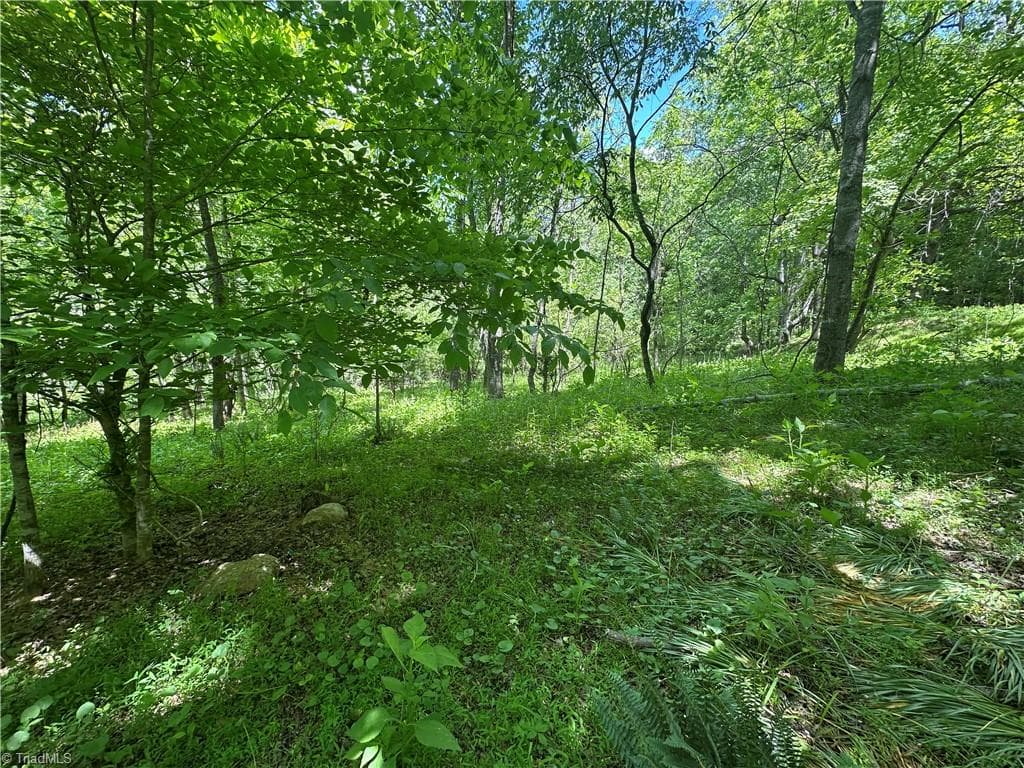 Unimproved Land at 248 Wiley Reynolds Road, Millers Creek NC 28651, photo 24 of 27