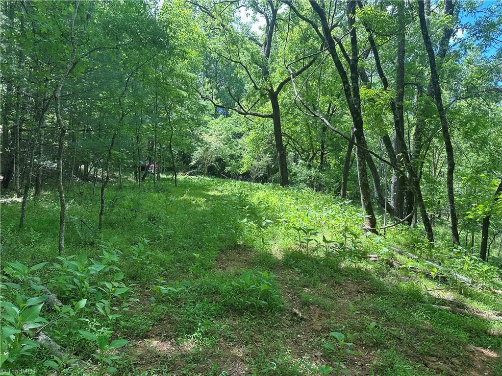 Unimproved Land at 248 Wiley Reynolds Road, Millers Creek NC 28651, photo 18 of 27