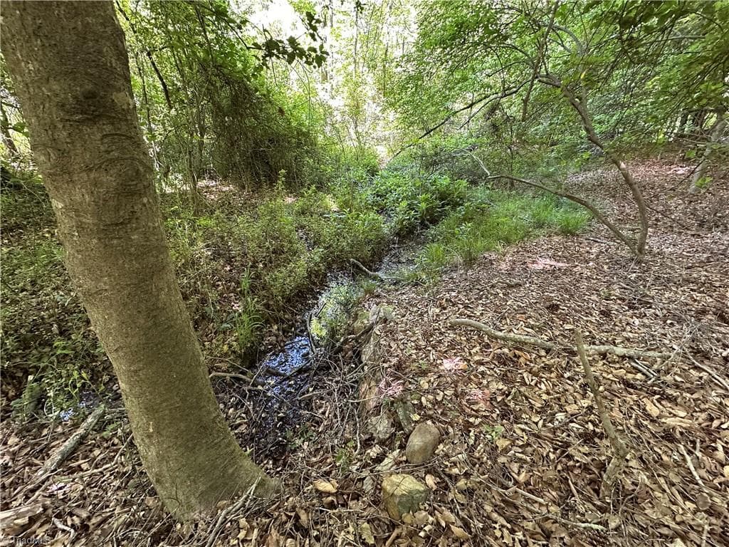 Unimproved Land at 248 Wiley Reynolds Road, Millers Creek NC 28651, photo 19 of 27