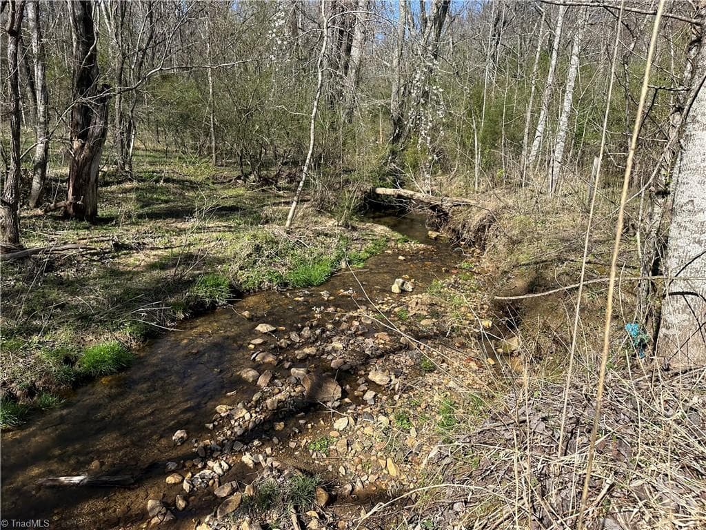Unimproved Land at 248 Wiley Reynolds Road, Millers Creek NC 28651, photo 25 of 27
