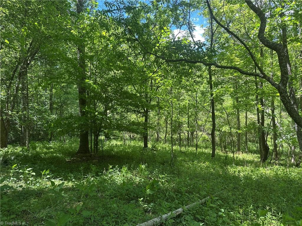 Unimproved Land at 248 Wiley Reynolds Road, Millers Creek NC 28651, photo 21 of 27