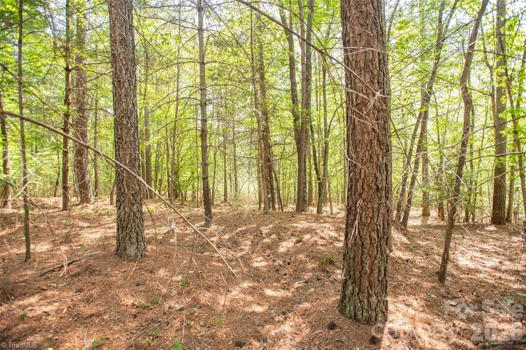 Unimproved Land at 1518 W Paradise Harbor Drive, Connelly Springs NC 28612, Connelly Springs, photo 2 of 12