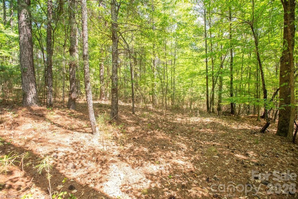 Unimproved Land at 1518 W Paradise Harbor Drive, Connelly Springs NC 28612, Connelly Springs, photo 6 of 12