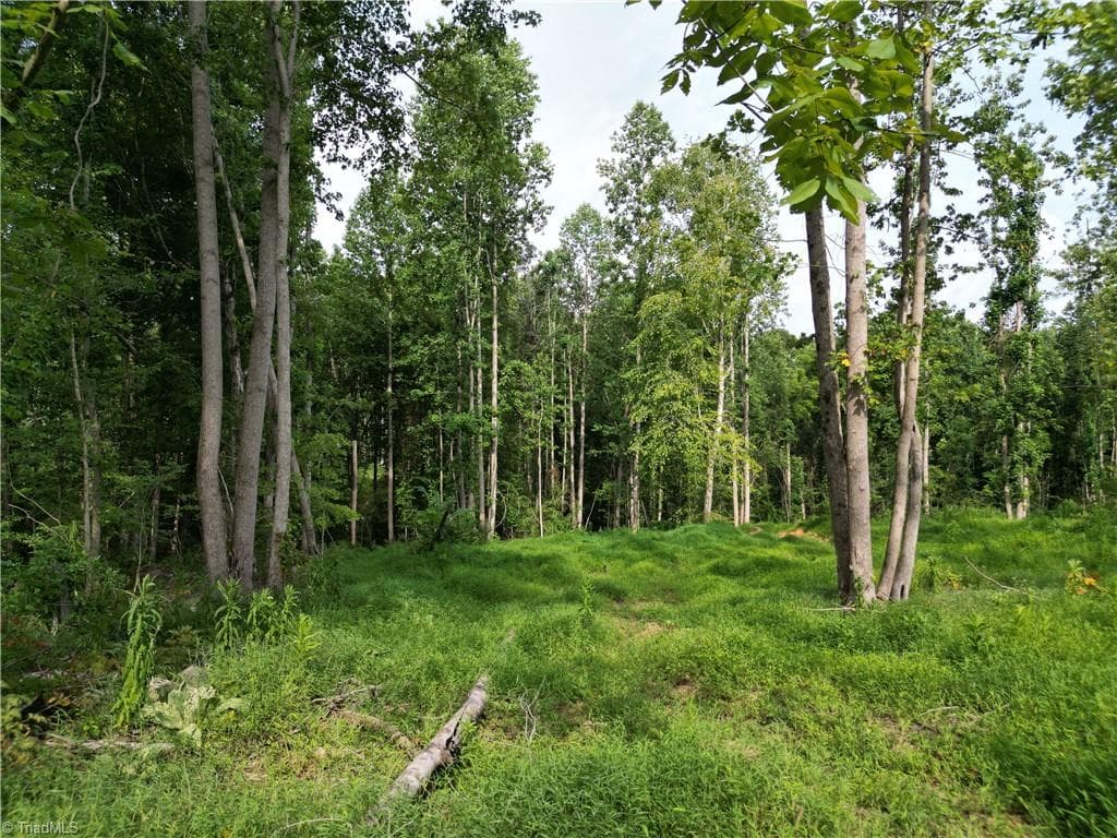 Unimproved Land at 00 NC Highway 49 S, Denton NC 27239, photo 17 of 37