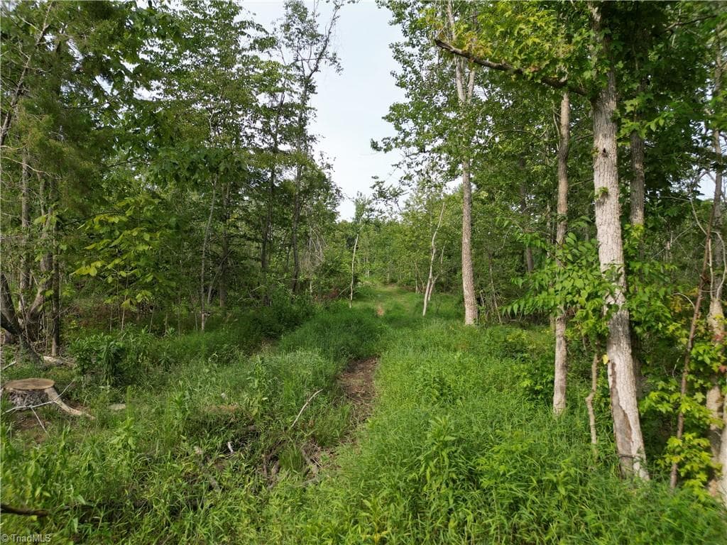 Unimproved Land at 00 NC Highway 49 S, Denton NC 27239, photo 22 of 37