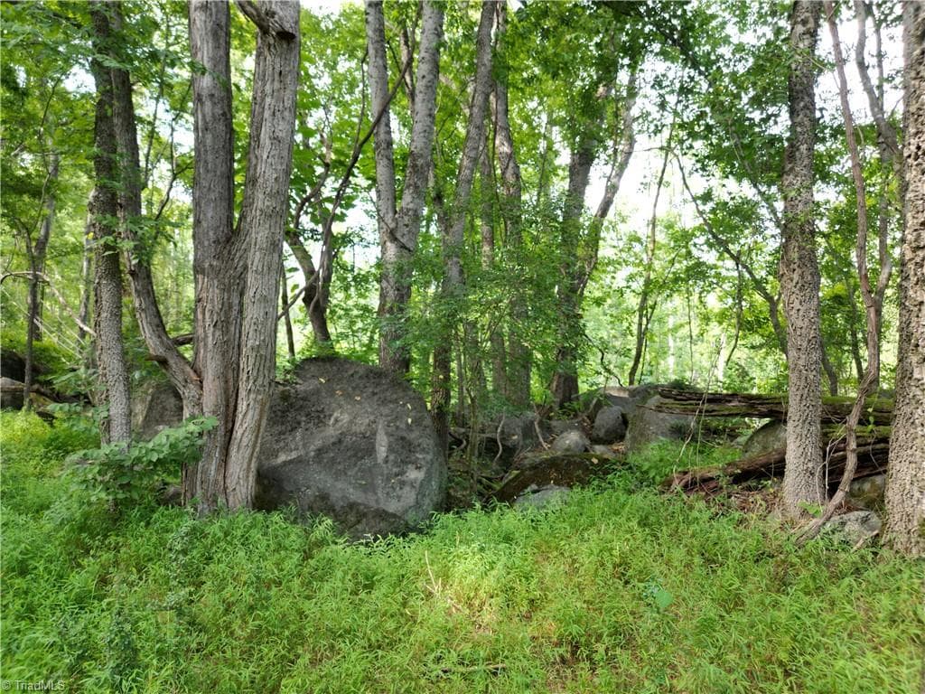 Unimproved Land at 00 NC Highway 49 S, Denton NC 27239, photo 20 of 37