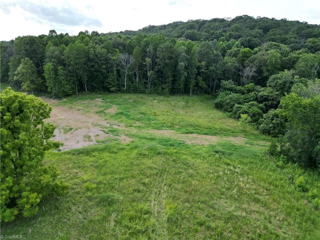 Unimproved Land at 00 NC Highway 49 S, Denton NC 27239, photo 29 of 37