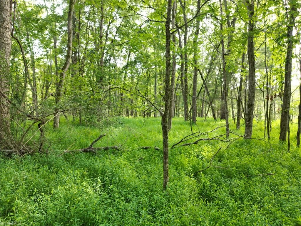 Unimproved Land at 00 NC Highway 49 S, Denton NC 27239, photo 21 of 37