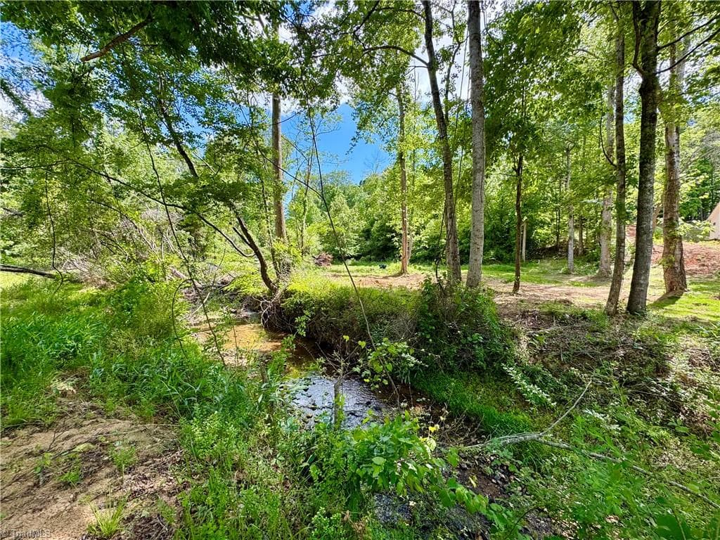 Unimproved Land at 405 Brown Road, King NC 27021, photo 11 of 13