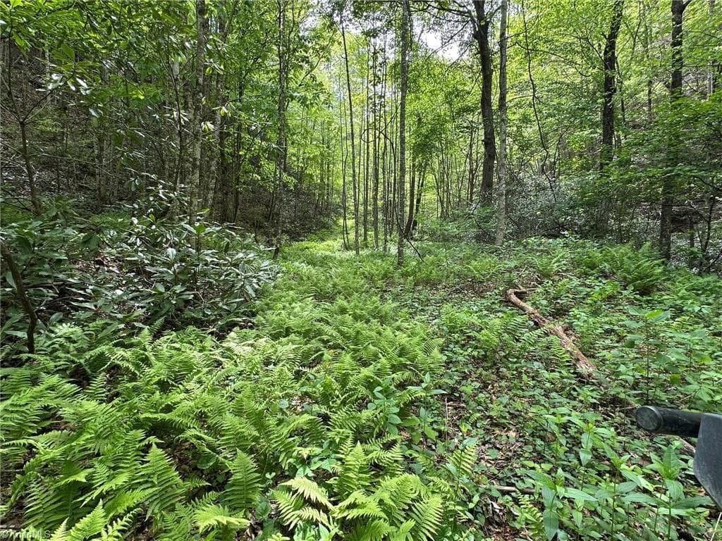 0000 N Old NC Highway 16, Millers Creek NC 28651