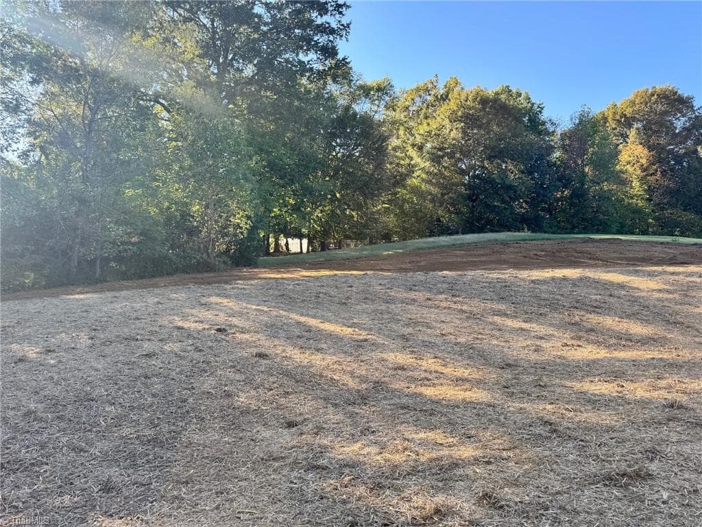 Stick/Site Built at 335 Frank Cherry Street, Eden NC 27288, photo 39 of 40