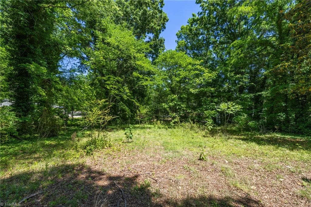 Stick/Site Built at 422 Patrick Street, Eden NC 27288, photo 32 of 32