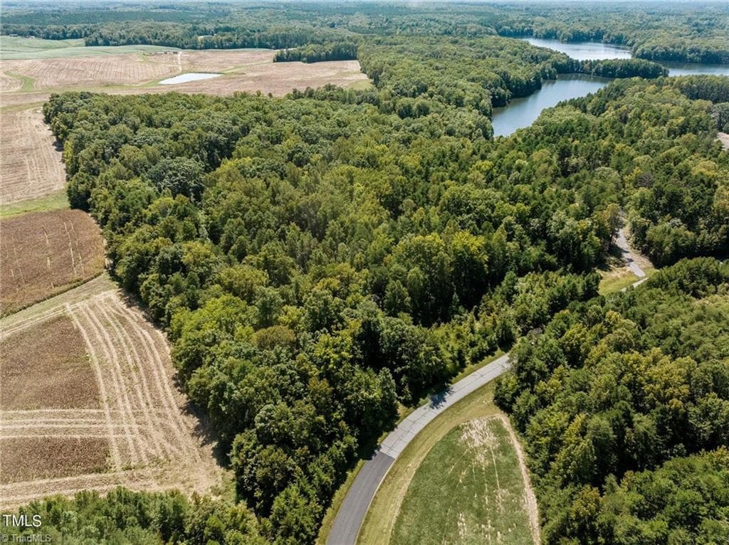 17.03 ac 0 New Mayo Drive, Roxboro NC 27574