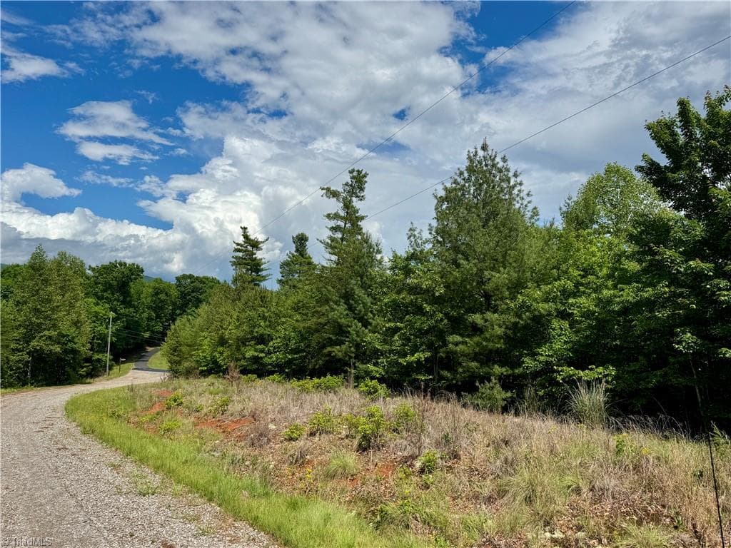 Single Family Residence at Lot #69 Turkey Trail, McGrady NC 28649, McGrady, photo 6 of 7