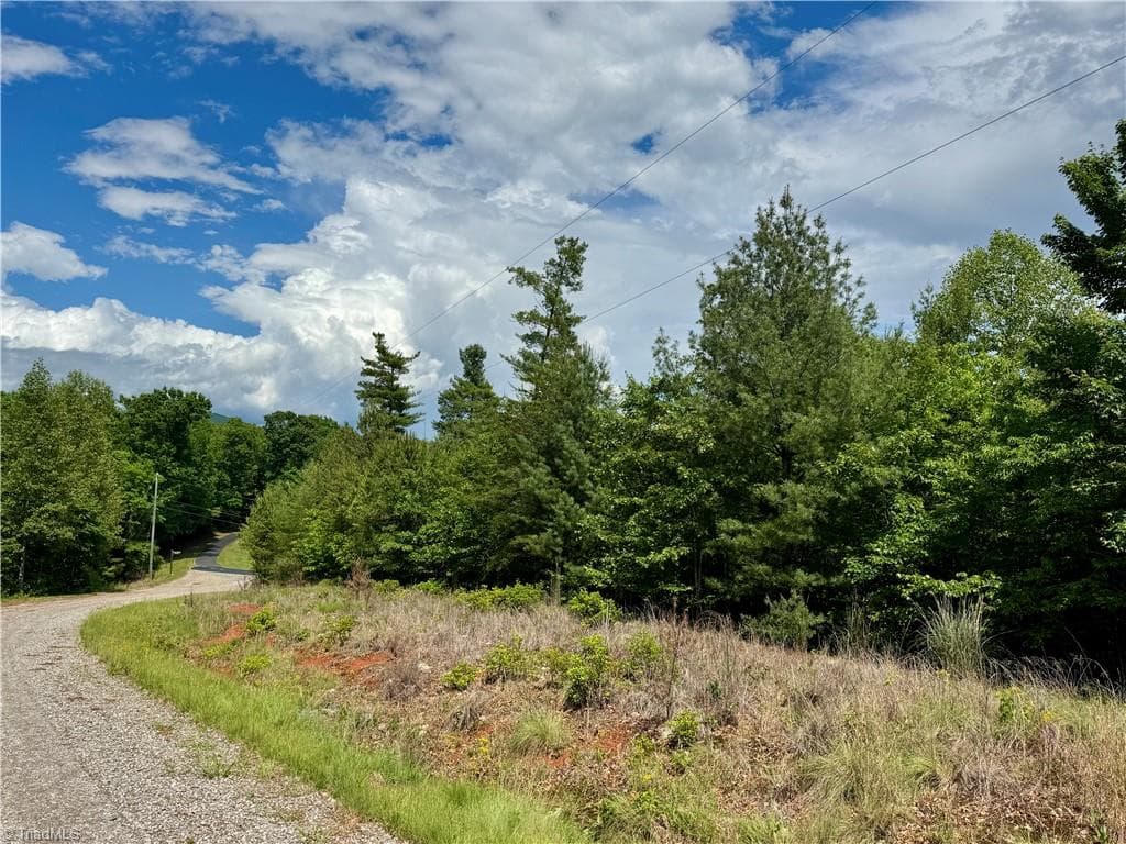 Single Family Residence at Lot #69 Turkey Trail, McGrady NC 28649, McGrady, photo 5 of 7