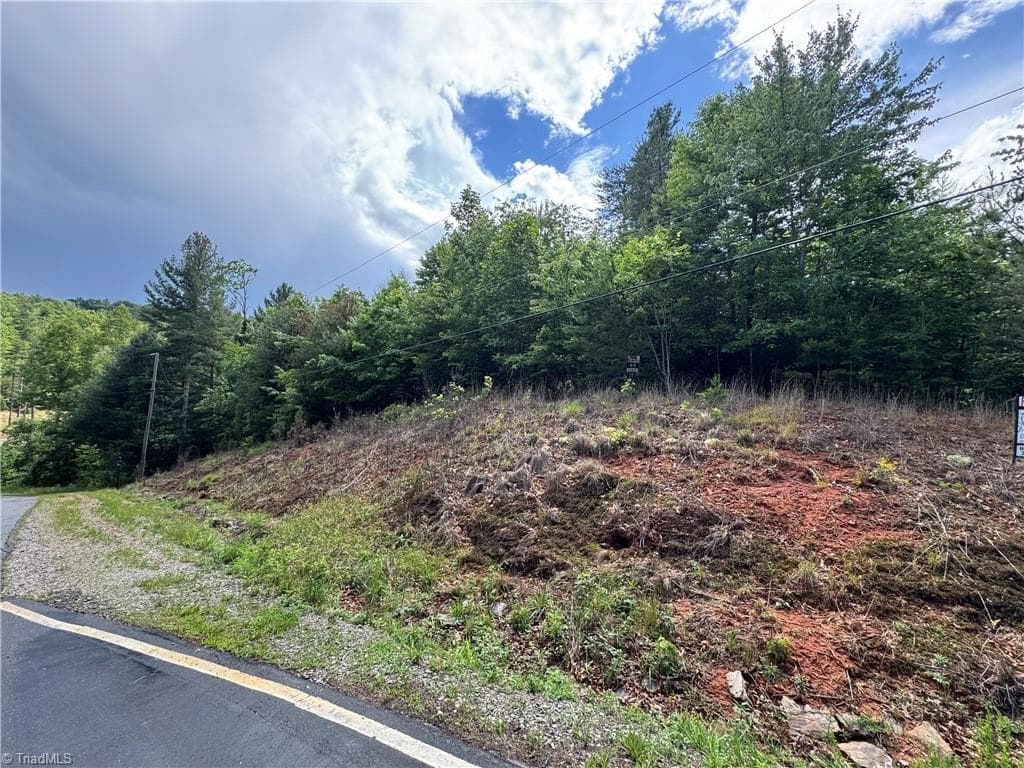 Single Family Residence at Lot #69 Turkey Trail, McGrady NC 28649, McGrady, photo 4 of 7