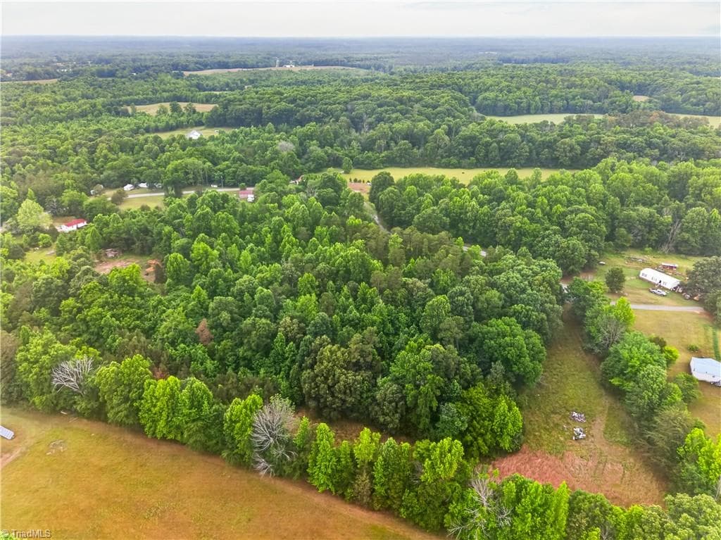 Single Family Residence at 7436 Chaseford Road, Liberty NC 27298, photo 5 of 14