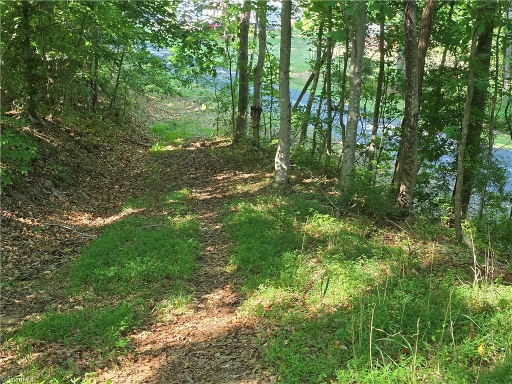 Unimproved Land at 1055 Ed Booth Road, Westfield NC 27053, photo 2 of 15