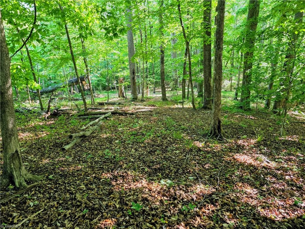 Unimproved Land at 1055 Ed Booth Road, Westfield NC 27053, photo 4 of 15