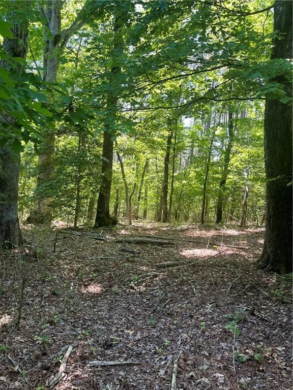 0 Palmer Road, Westfield NC 27053