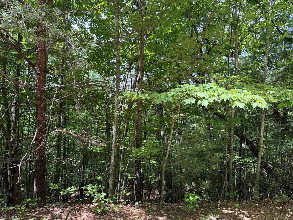 Lot 132A Warren Way, Purlear NC 28665