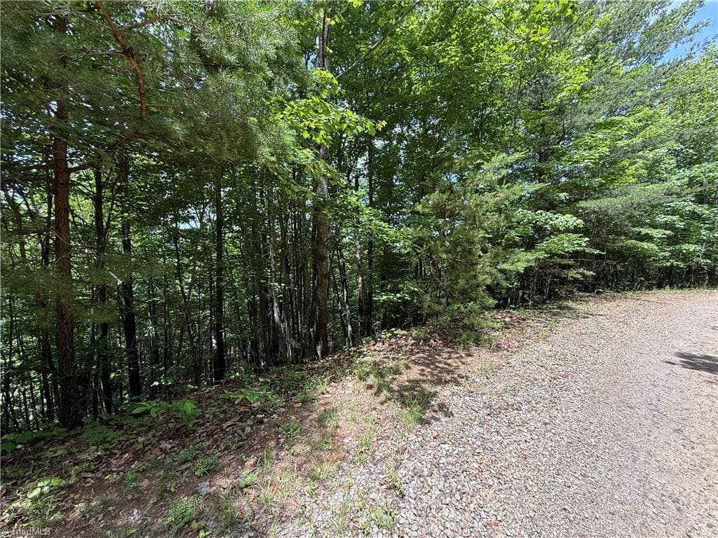 Single Family Residence at Lot 132A Warren Way, Purlear NC 28665, Purlear, photo 11 of 30