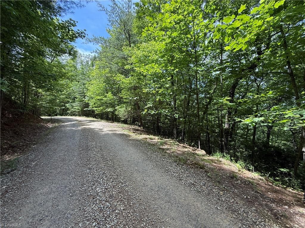 Single Family Residence at Lot 132A Warren Way, Purlear NC 28665, Purlear, photo 4 of 30