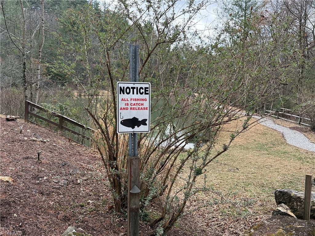 Single Family Residence at Lot 132A Warren Way, Purlear NC 28665, Purlear, photo 25 of 30