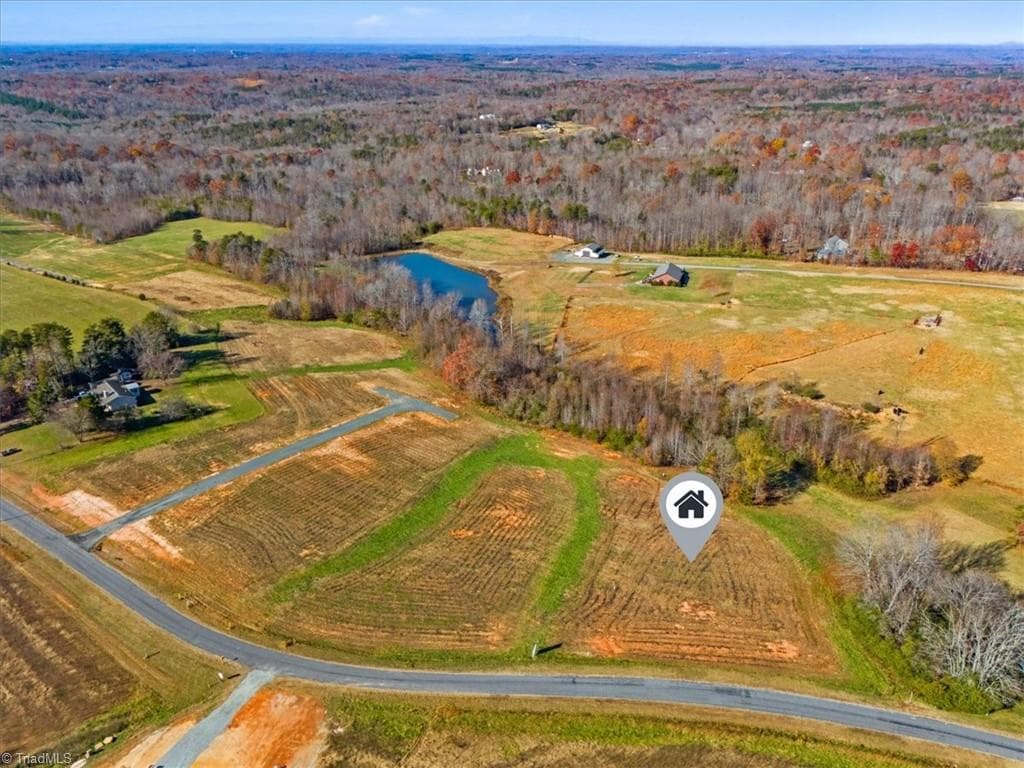 Single Family Residence at 131 Pearson Farm Road, Summerfield NC 27358, photo 6 of 14