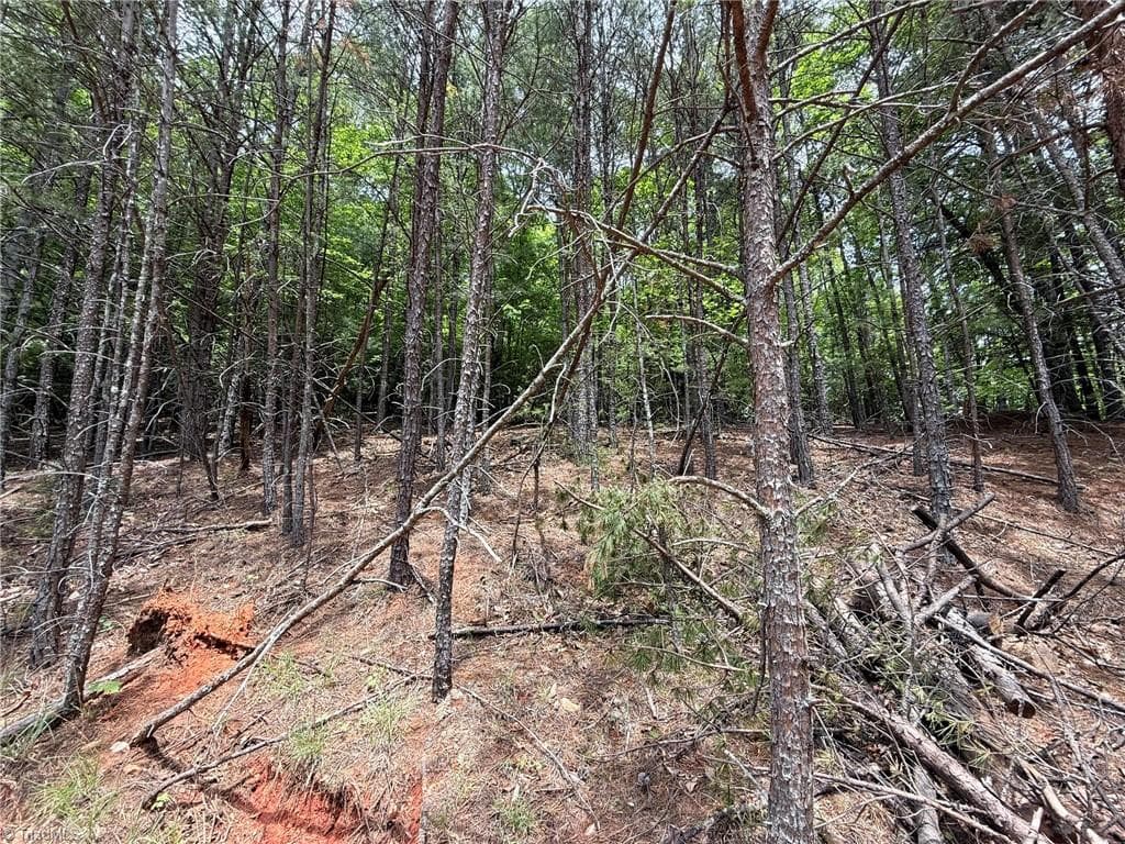 Single Family Residence at Lot 33 Jonathan Drive, Lowgap NC 27024, Lowgap, photo 11 of 76