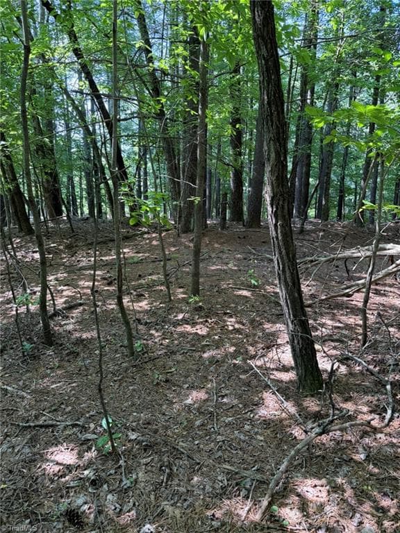 Single Family Residence at Lot 33 Jonathan Drive, Lowgap NC 27024, Lowgap, photo 25 of 76
