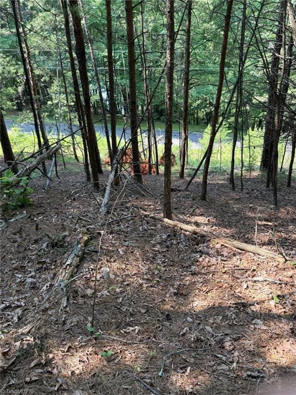 Single Family Residence at Lot 33 Jonathan Drive, Lowgap NC 27024, Lowgap, photo 33 of 76
