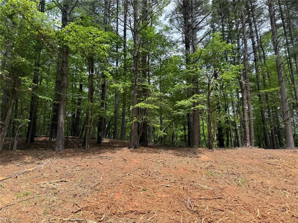 Single Family Residence at Lot 33 Jonathan Drive, Lowgap NC 27024, Lowgap, photo 23 of 76