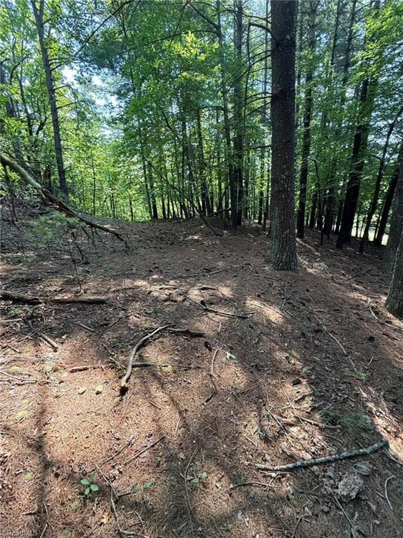 Single Family Residence at Lot 33 Jonathan Drive, Lowgap NC 27024, Lowgap, photo 43 of 76