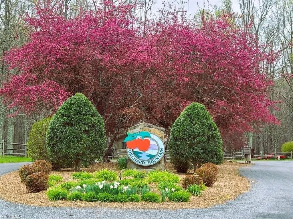 Lot 33 Jonathan Drive, Lowgap NC 27024