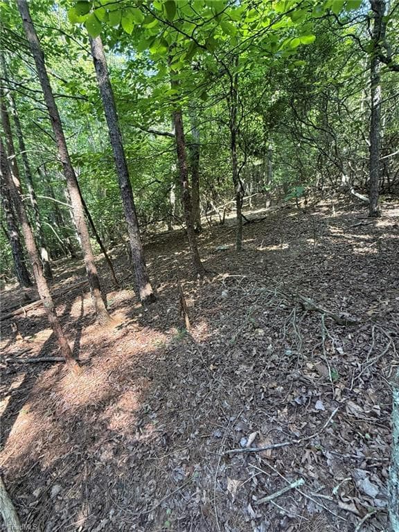 Single Family Residence at Lot 33 Jonathan Drive, Lowgap NC 27024, Lowgap, photo 39 of 76