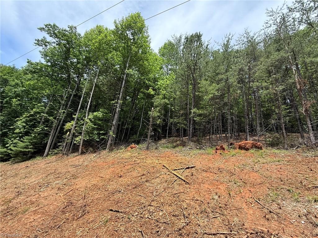 Single Family Residence at Lot 33 Jonathan Drive, Lowgap NC 27024, Lowgap, photo 17 of 76