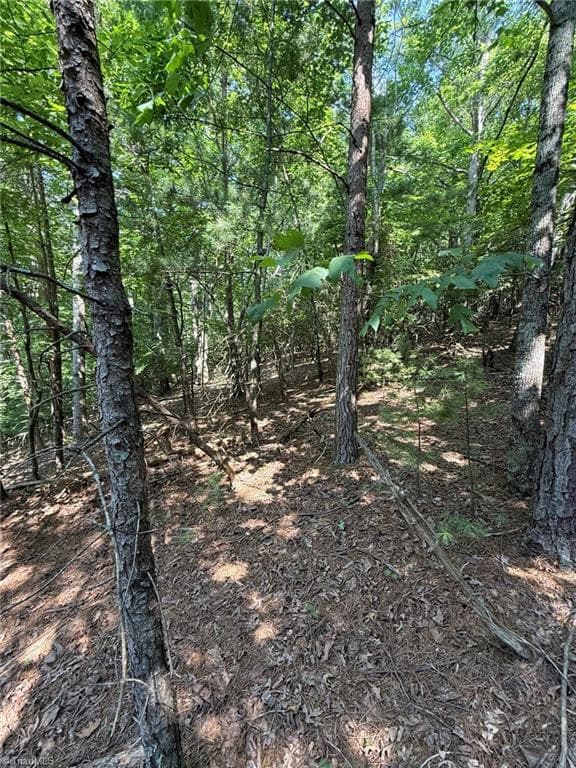 Single Family Residence at Lot 33 Jonathan Drive, Lowgap NC 27024, Lowgap, photo 35 of 76