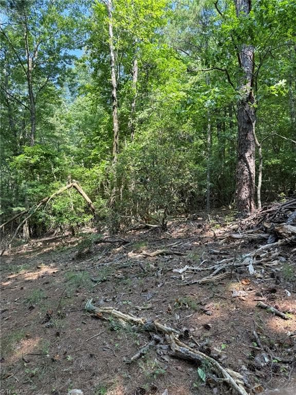 Single Family Residence at Lot 33 Jonathan Drive, Lowgap NC 27024, Lowgap, photo 29 of 76