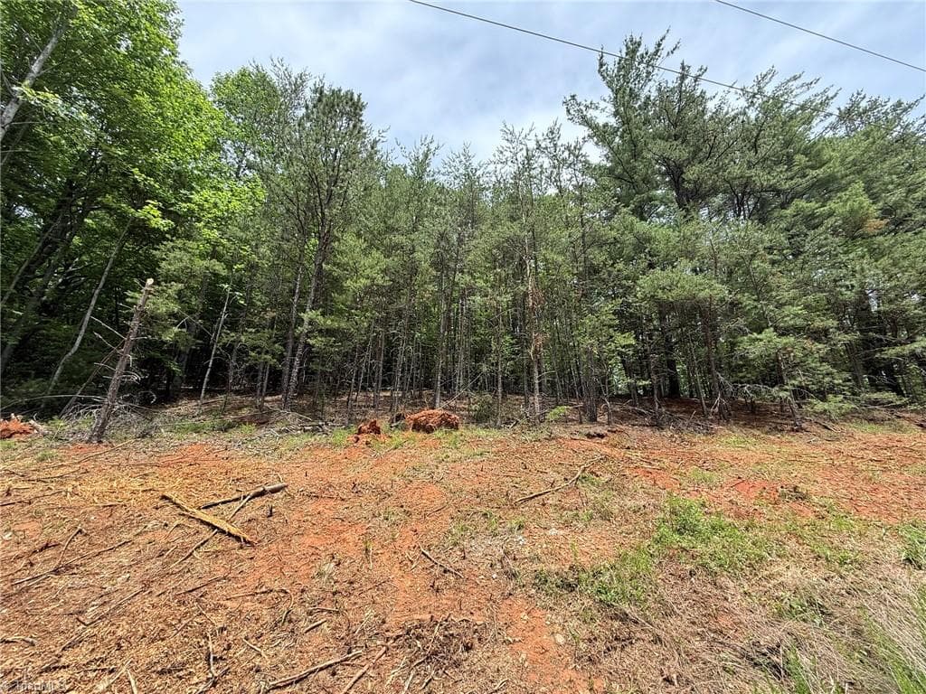 Single Family Residence at Lot 33 Jonathan Drive, Lowgap NC 27024, Lowgap, photo 21 of 76